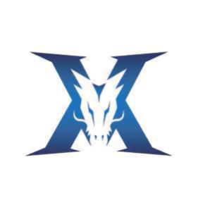 球队的长期 球队的长期