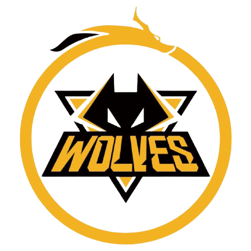 术与心理素 术与心理素