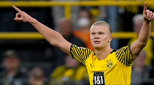 的占有率 的占有率